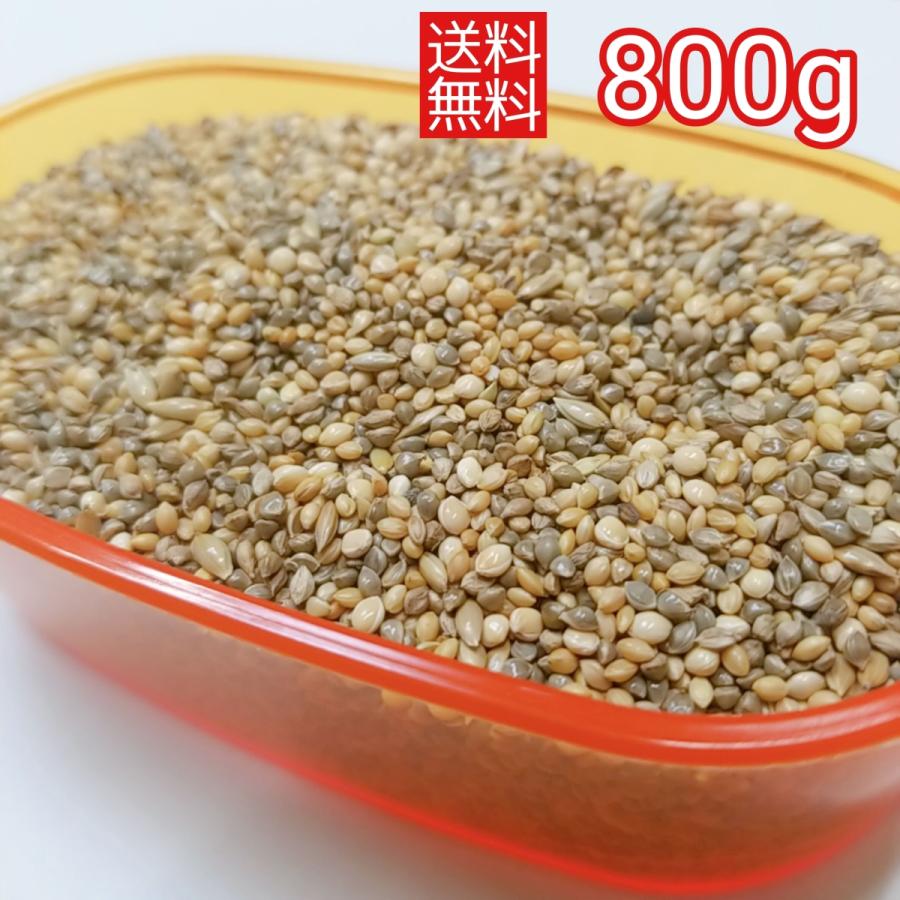 皮付きゴールド 800g　小鳥用ミックスブレンド インコ餌 コザクラ オカメ マルメリハ（Yahoo!・サイトウーコーポレーション）