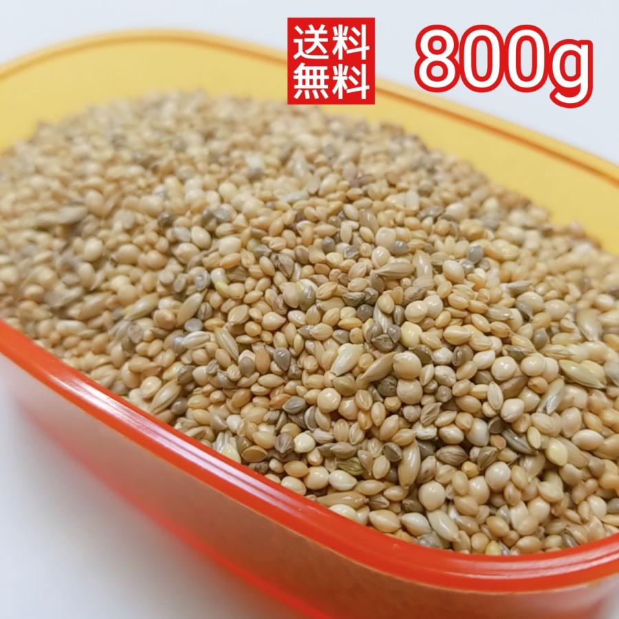 皮付きシルバー 800g　小鳥用ミックスブレンド インコ餌 コザクラ オカメ マルメリハ（Yahoo!・サイトウーコーポレーション）