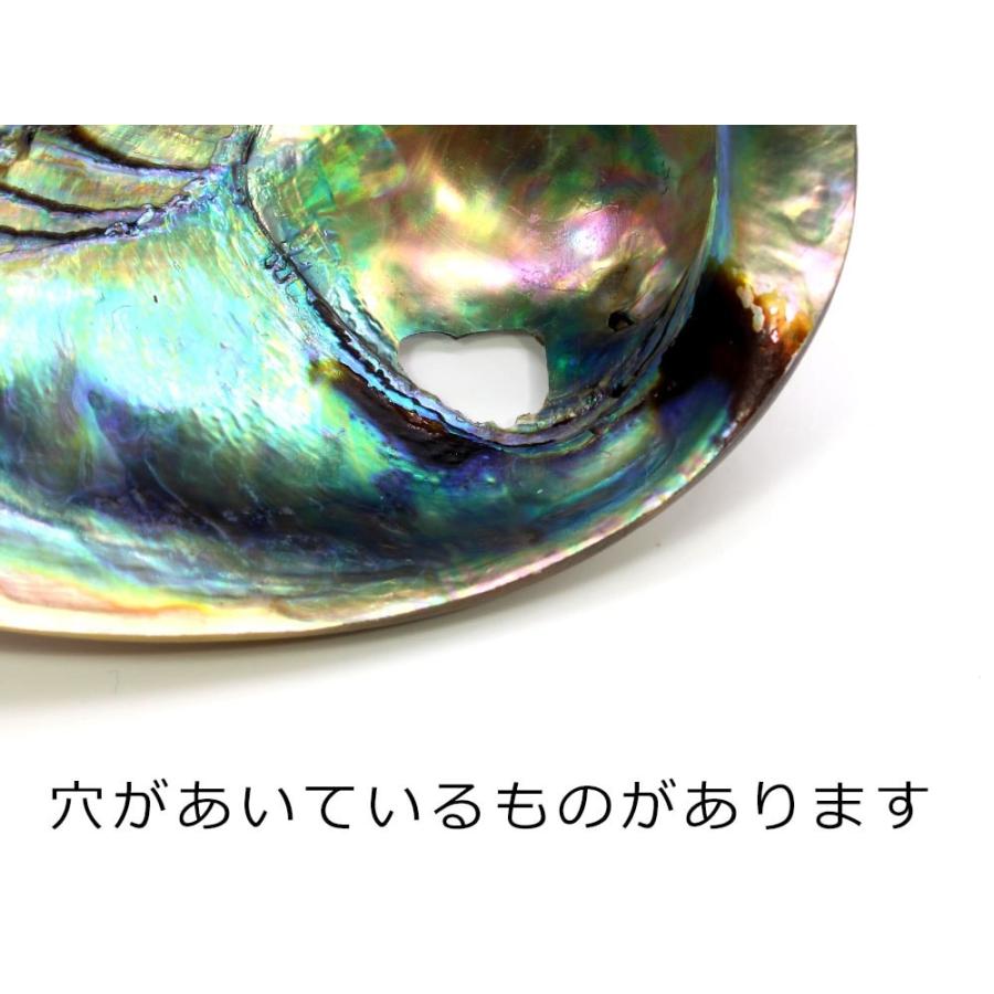ゆぅ　伊勢志摩産 アワビ貝殻 磨き アバロンシェル　20個 ゆぅ様専用 伊勢志摩産 アワビ貝殻 磨き アバロンシェル 20個 - 置物