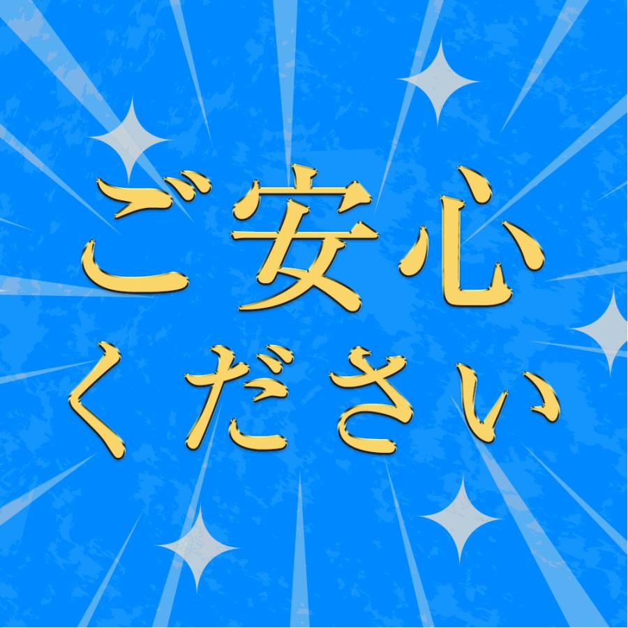 ピアッサー 18G 耳たぶ用 1個 片耳用 純チタン 瞬間ピアッサー 金属アレルギー対応 ピアサー |  | 04