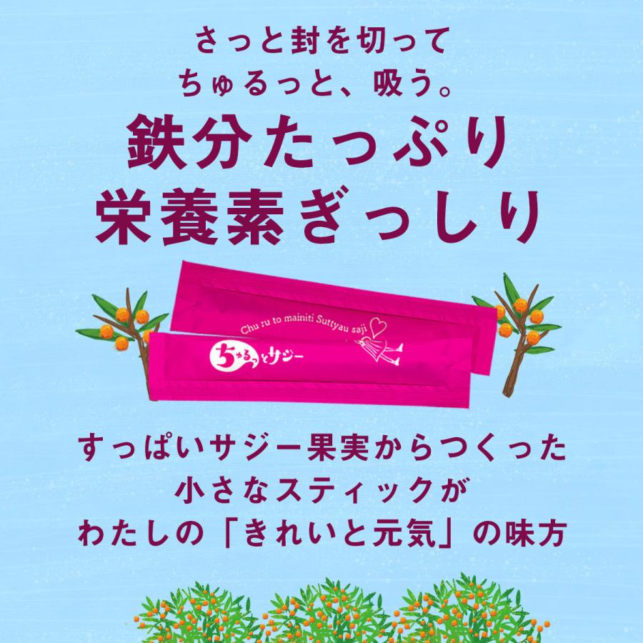 サジー 鉄分補給 サプリメント 4週間分簡易版 ちゅるっとサジー ぱくっとサジー セット 送料無料 ちゅるっとサジー