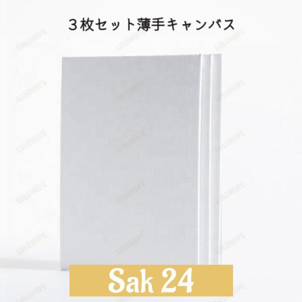 張りキャンバス キャンバス 画材 アート個展 木枠 3枚セット キャンバスボード 水彩画?油絵?アクリル兼用 綿化繊 画材セット 長方形　夏休み自由研究