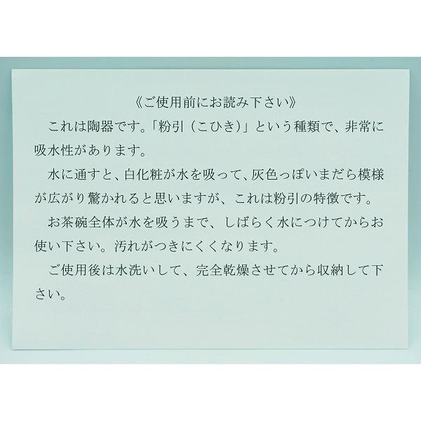 茶道具 茶碗 平茶碗 御本手 アイスペンギン 耕寅窯 化粧箱 : 新古