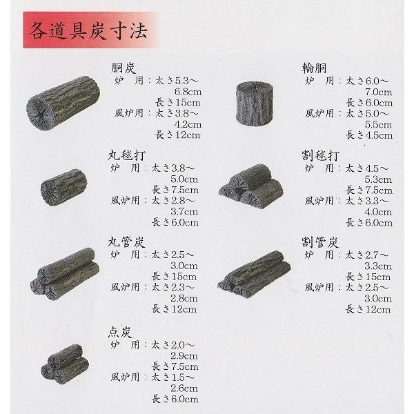 茶碗 乾山写 御室桜 森下秋彩作 （茶道具 抹茶茶碗 乾山 御室桜