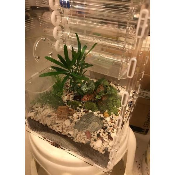 飼育用品 アリの巣 観察 大きな 透明 植物スペース アクリル アリファーム 昆虫 ペット 自宅 家 装飾 昆虫