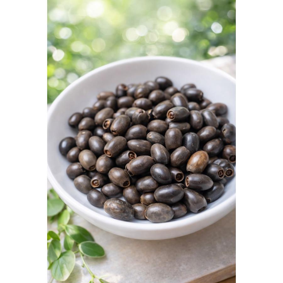ハスの種 10粒 発芽加工済み 蓮の種 ミニハス 茶碗蓮 水生植物