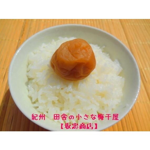 3Lサイズ大粒　昔ながらのすっぱい梅干1.2kg　（食品添加物不使用　完熟紀州南高梅　品質優良紀州梅干し）和歌山県みなべ町　坂忠商店 |  | 02