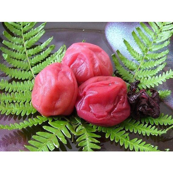 昔ながらのすっぱいしそ漬け300ｇ　（食品添加物不使用　完熟紀州南高梅　品質優良紀州梅干し）和歌山県みなべ町　 坂忠商店 |  | 01