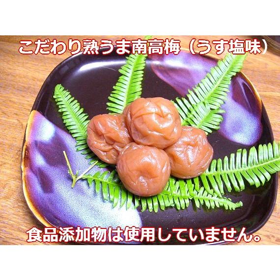 こだわり熟うま南高梅（うす塩味）800ｇ　「食品添加物不使用　完熟紀州南高梅　品質優良紀州梅干し」和歌山県みなべ町　坂忠商店 |  | 02