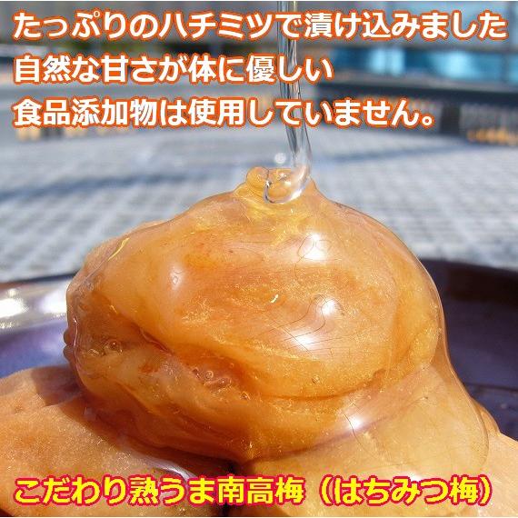 こだわり熟うま南高梅(はちみつ梅)600g 「食品添加物不使用 こだわり熟うま南高梅(はちみつ梅)600g 「食品添加物不使用