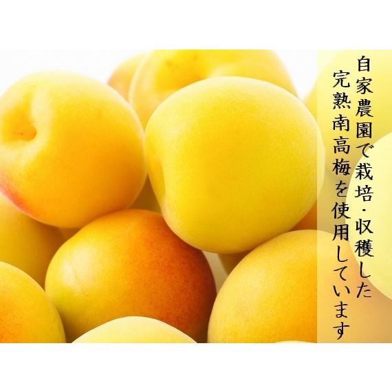 こだわり熟うま南高梅（はちみつ梅）1,2ｋｇ　「食品添加物不使用　完熟紀州南高梅　品質優良紀州梅干し」和歌山県みなべ町　坂忠商店 |  | 03