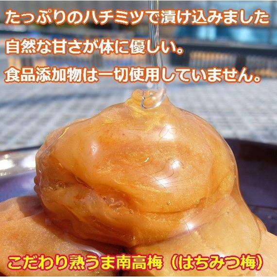「お試し」「送料込み」 こだわり熟うまお試しセット(うす塩味130g はちみつ梅130g) 完熟南高梅 食品添加物不使用 和歌山 みなべ町 坂忠商店|sakachu|05