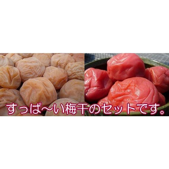 「お試し」「送料込み」　昔ながらの梅干お試しセット（各130g）　完熟南高梅 食品添加物不使用 紀州梅干 和歌山 みなべ町 坂忠商店 |  | 01