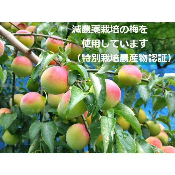 「お試し」「送料込み」　昔ながらの梅干お試しセット（各130g）　完熟南高梅 食品添加物不使用 紀州梅干 和歌山 みなべ町 坂忠商店 |  | 04