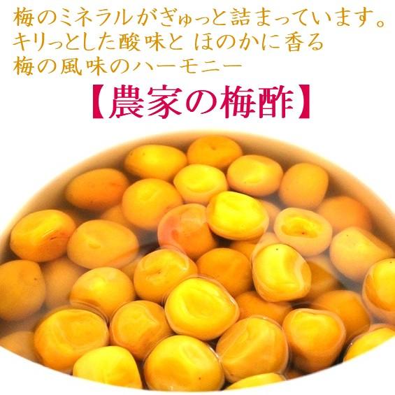 梅のミネラルがギュッと詰まってます。「農家の梅酢」塩分約18％　500ml　　食品添加物不使用　梅酢　和歌山県みなべ町　坂忠商店　 |  | 01