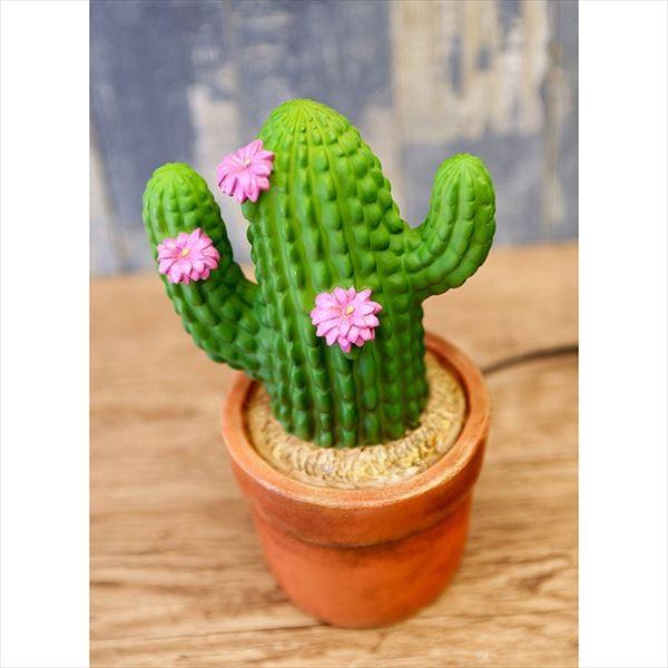 木製サボテン照明 LED植物育成シェルフAkairina09（MAI09） | おしゃれ照明器具ならMotoM