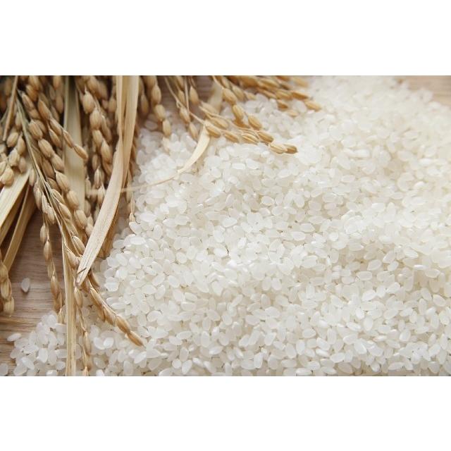 日本製 土鍋で炊くから旨い 黒しずく２合炊飯鍋 中蓋付 直火 ごはん鍋 炊飯鍋 おいしいごはん 玄米ご飯 炊き込みご飯 贈り物 プレゼント ２合 33 96 陶器のお店 Sakaeya 通販 Yahoo ショッピング