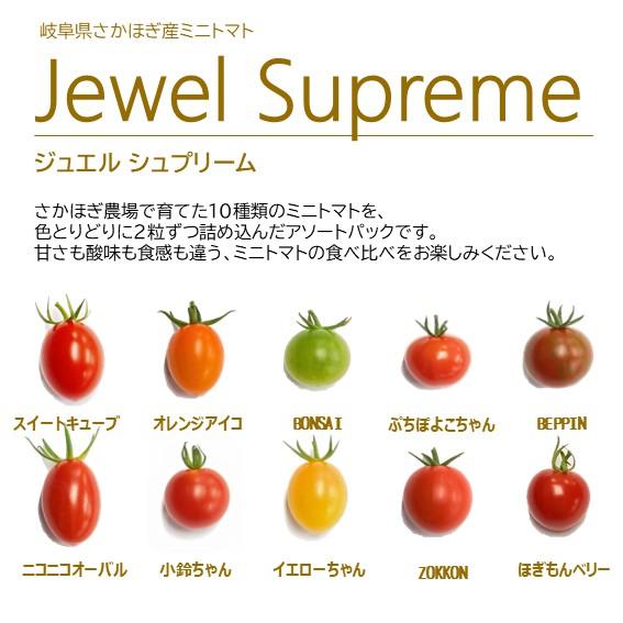 ジュエルシュプリーム 色とりどりのミニトマト10種類食べ比べ 岐阜県さ