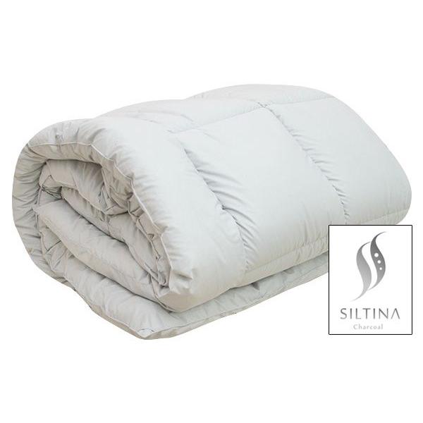 アラエマックス Araemax シルティナチャコール 備長炭生地