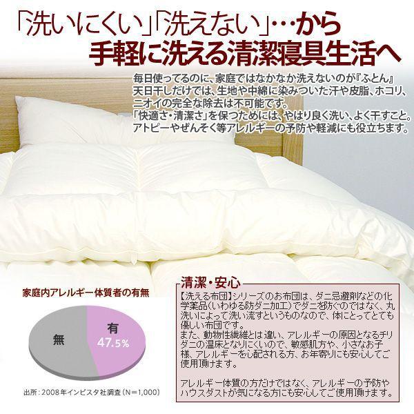 アラエマックス Araemax シルティナチャコール 備長炭生地 