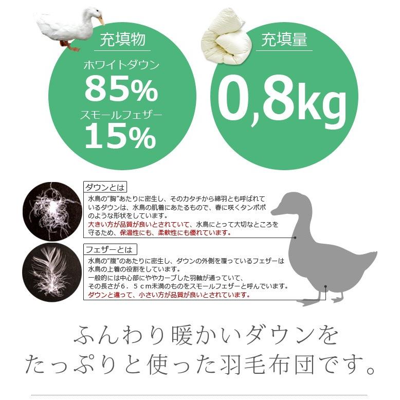 羽毛布団 合掛け布団 シングル  アースダウン （TCNDSA）｜sakai-f｜05