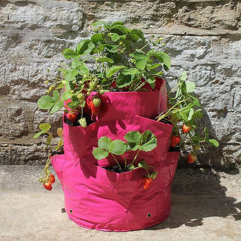Haxnicks Strawberry & Herb Patio Planters たためる布製プランター