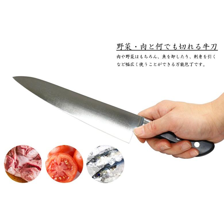 堺孝行 ギフト イノックス #11012 牛刀 刃渡り210mm 本刃付け