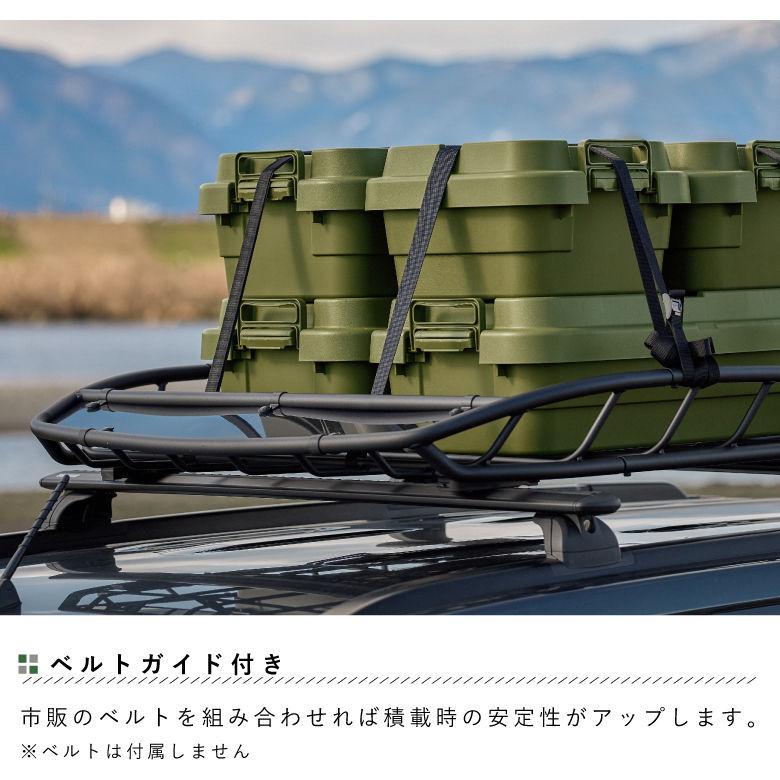 RISU（リス） トランクカーゴ スタッキング TC-70S-LOW 浅型タイプ