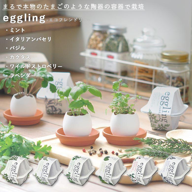 栽培セット 栽培キット 家庭菜園 EG-48 エッグリング エコフレンドリー