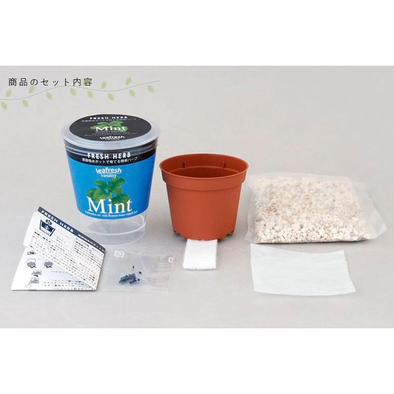 栽培セット 栽培キット 家庭菜園 GD-363 フレッシュハーブ 4種類から