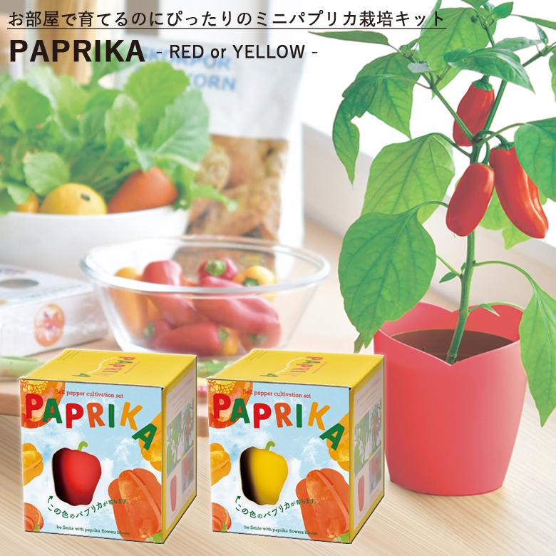 家庭菜園 Gd 902 パプリカ栽培セット 赤パプリカまたは黄パプリカ 聖新陶芸 期間限定 12月 7月 のみ販売 Seishin Gd 902 堺の刃物屋さんこかじ 通販 Yahoo ショッピング
