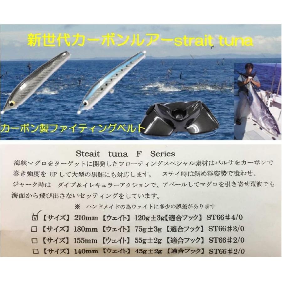 在有即配プラス便　クロマグロキャスティング用カーボンルアー　ストレイトツナ（Strait tuna海峡マグロ）155mm背黒　byF・S｜sakai11101｜03