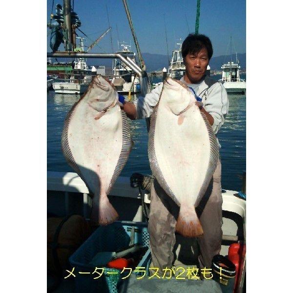 在庫有即配プラス便 フジワラ 三角バケ600g ニュージーランド 在庫有即配プラス便 フジワラ 三角バケ600g ニュージーランド