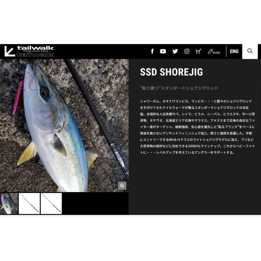 在有即配宅配便 テイルウォーク(tailwalk) ソルティシェイプダッシュ  