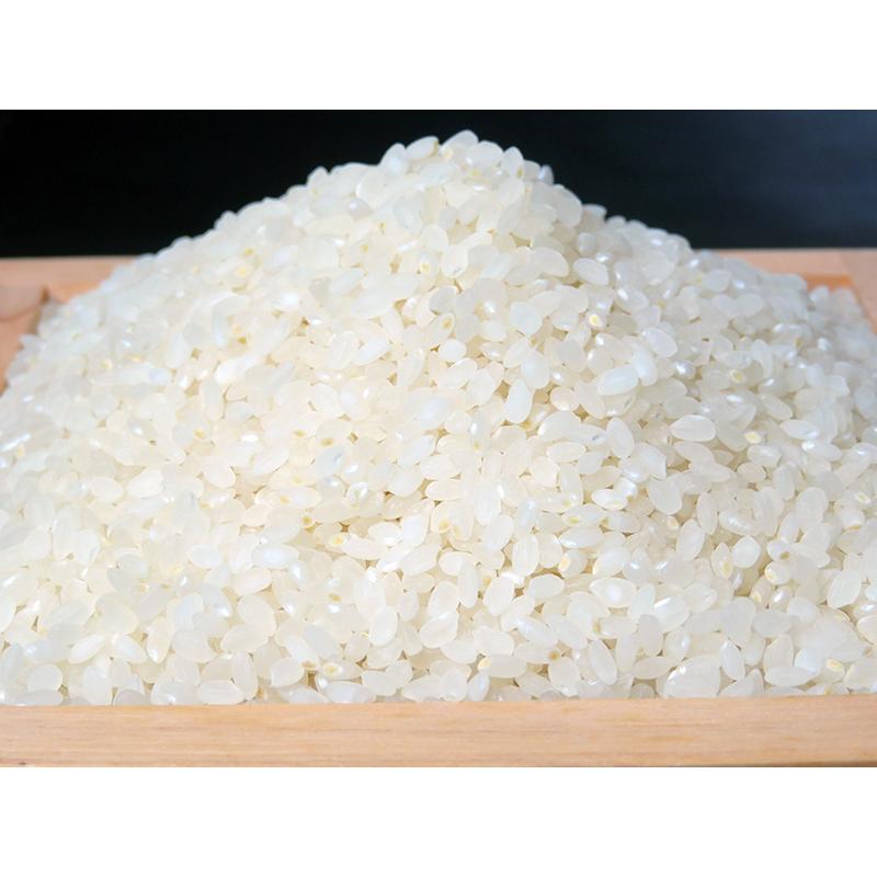 令和5年長野県産米風さやかお試し 白米2kg美味しいお米は農家直送　送料無料　｜sakaiyay｜02