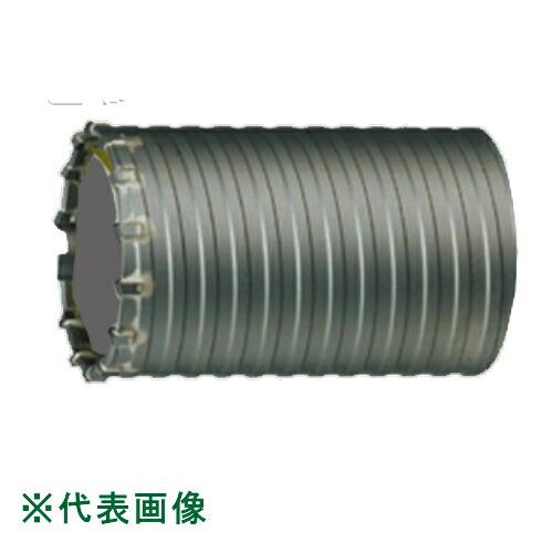 ハウスBM ハンマー用コアドリル　55mm ハウスビーエム ハンマーコアドリル(打撃・回転用)(ハンマー