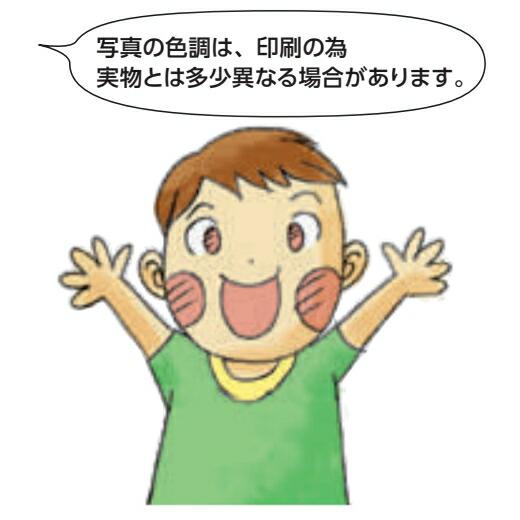 創建 SOKEN 36405-2.73m ビニール 等辺 カラーアングル30 長さ2.73m 色