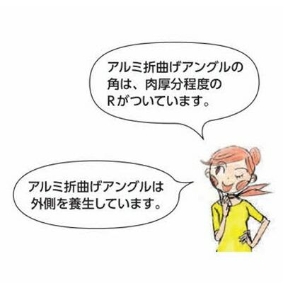 専用ページ 金物 56206 創建 アルミ折曲げ L1×100×100 アルマイトシルバー 3m (1本