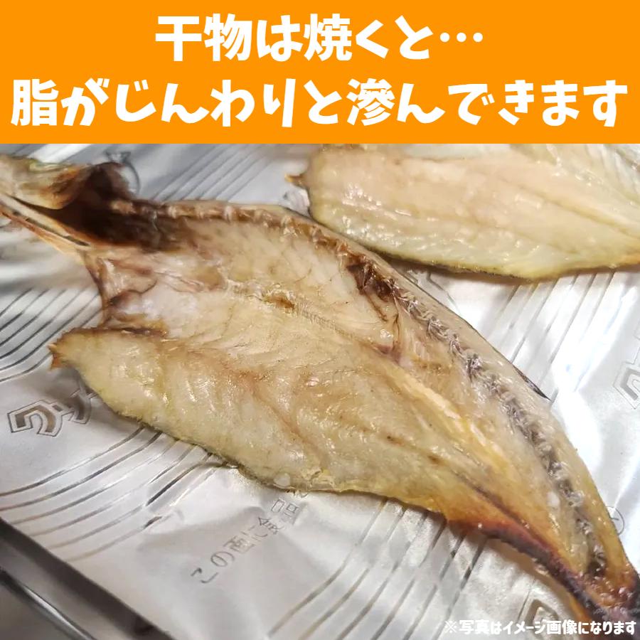 干物 ＆ 蒲鉾 セット 冷蔵 富山 父の日 ギフト 贈答品 お土産 魚の干物 かまぼこ 焼き魚｜sakananoeki｜09