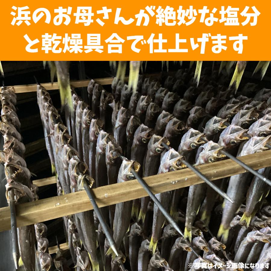 干物 ＆ 蒲鉾 セット 冷蔵 富山 父の日 ギフト 贈答品 お土産 魚の干物 かまぼこ 焼き魚｜sakananoeki｜07