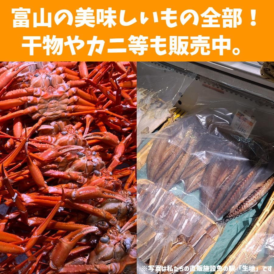 海鮮福袋 鮮魚 ボックス 鮮魚セット 下処理 （3人から4人前） 直送 お刺身盛り合わせ 手巻き寿司 ネタ セット 材料｜sakananoeki｜10