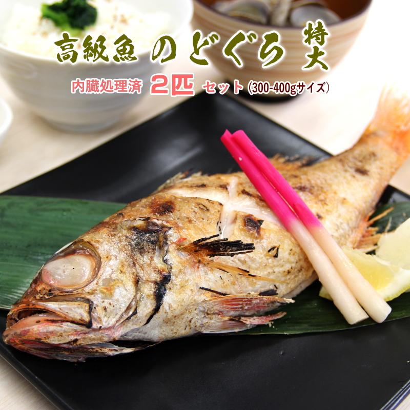 海鮮 ギフト 惣菜 のどぐろ 特大 話題 高級魚 ウロコ・内臓処理済 祝事