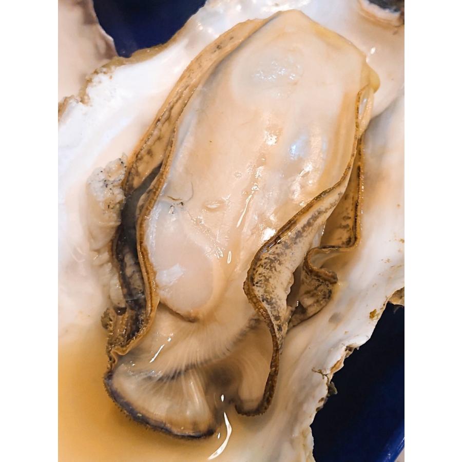 岩手県産　生がき　加熱用　300g×３パック入り　鮮魚　生ガキ　牡蠣 |  | 03