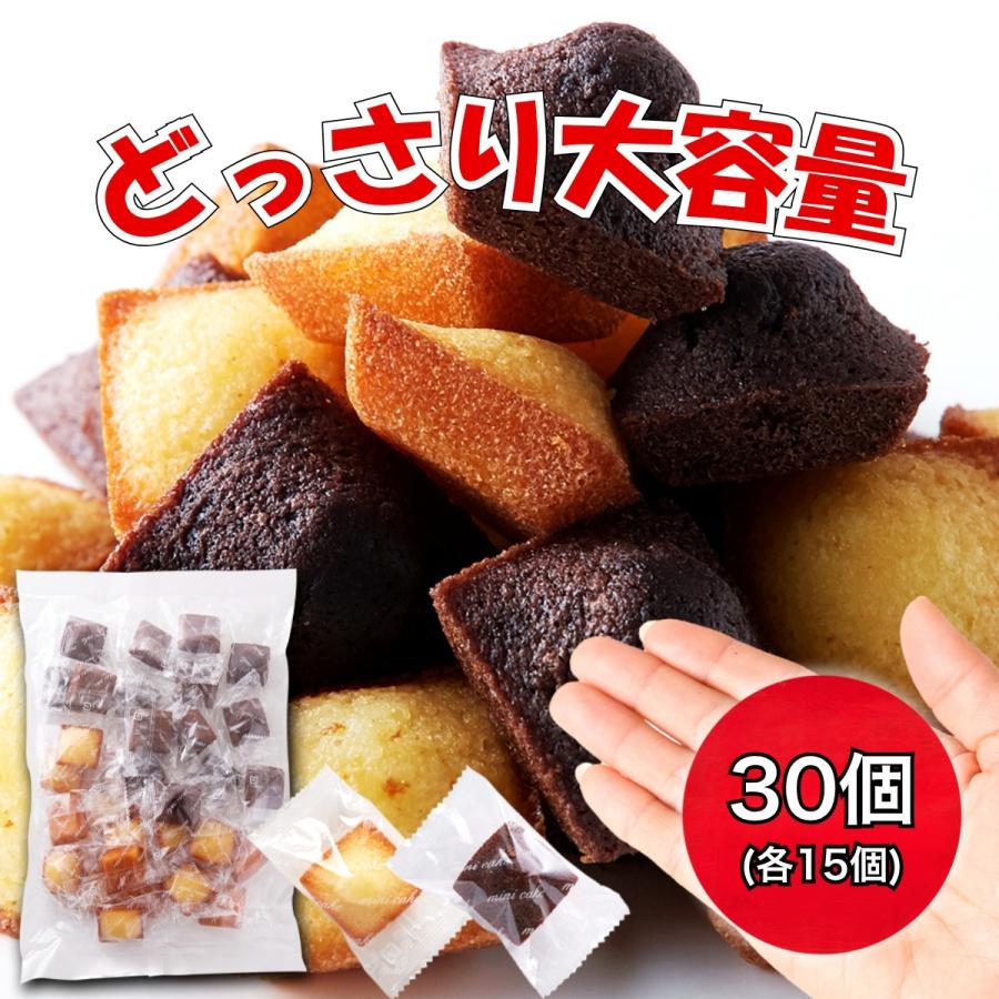 プチ フィナンシェ ＆ ショコラ 個包装 30個入 訳あり 簡易梱包 焼き菓子 ギフト プチギフト 天然生活  バレンタイン ホワイトデー 卒業 入社 退職祝い（Yahoo!・さかのぶらざーず）
