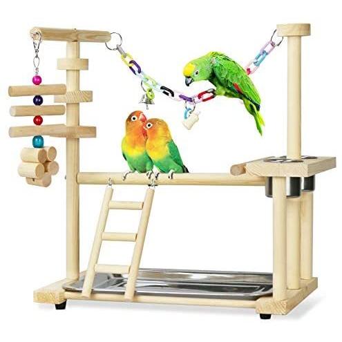 Lzttyee Bird Parakeet Playground Natural Wood Medium Gym Stand 【お気に入り】 Parrot Lovebirds 70％OFFアウトレット for Perch Conure Parrots Pet Small