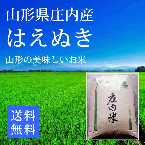令和7年産 庄内米はえぬき  玄米30キロ はえぬき 山形県庄内産 玄米24kg 1等米 令和7年産 お米 コメ : 米の