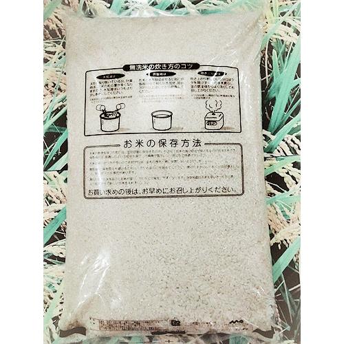 はえぬき 無洗米 5kg 山形県庄内産 令和7年産 お米 コメ : 米の酒田
