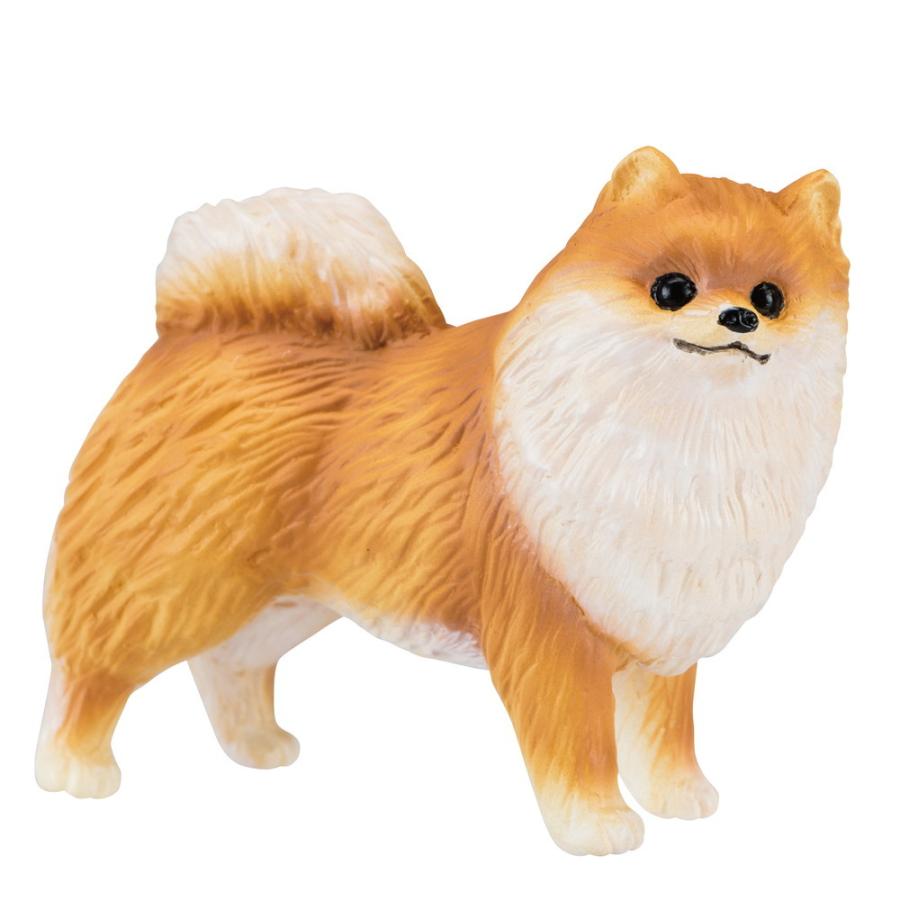 Miniatureplanet ポメラニアン ：エイコー ノンスケール 74147 : さか