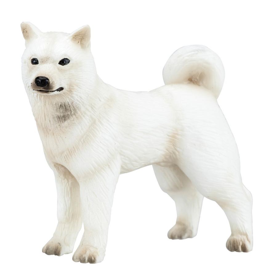 Miniatureplanet 北海道犬 ：エイコー ノンスケール 74151 : さかつう