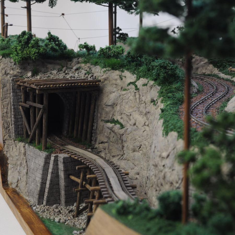 森林鉄道 小型レイアウト ：工房ナナロクニ 塗装済完成品 1/87 3010